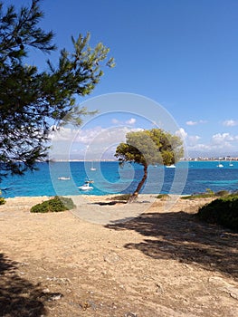 Coastline at Son Veri Nou - Mallorca Spain