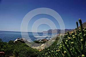 Coastline in south africa near cape town