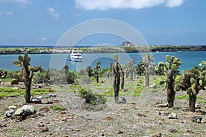 Coastline of South Plaza Island with North Plaza Island in the distance, Galapagos National Park, Ecuador