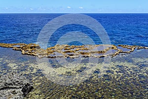 Coastline on the southern part of Tongatapu island in Tonga