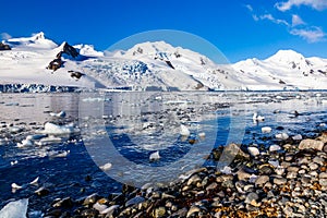 Coastline with stones and cold still waters of antarctic sea lag
