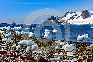 Pobrežná čiara kamene a a studený stále vody z antarktický 