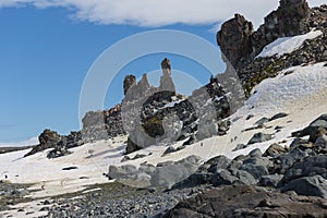 Coastline with stones and ice, sea lagoon with mountains with colony of antarctica chinstrap penguin. Half Moon island