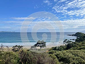 Coastline at Tawharanui Regional Park in a sunny day, New Zealand