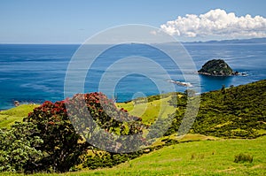 Coastline view from Coromandel Coastal Walkway with blue sky above at Coromandel Peninsula, Northland, New Zealand