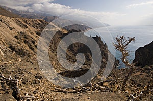 Coastline from Yemen to Oman