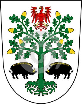 Coat of arms of Eberswalde in Barnim of Brandenburg, Germany