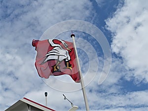 Coat of arms of Horgen as a flag on the mast of the ferry boat, partly visible roof of navigational bridge