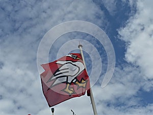 Coat of arms of Horgen as a flag on the mast of the ferry boat sailing from Horgen to Meilen