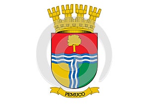 Coat of Arms of Pemuco Chile