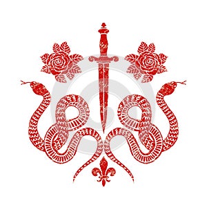 Srst z paže had růže meč ilustrace styl z barva 