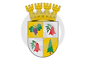 Coat of Arms of Trehuaco Chile