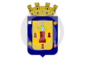Coat of Arms of Vicuna Chile