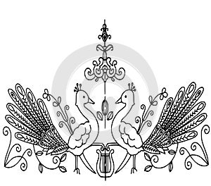 Coat with two peacocks