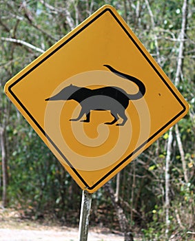 Coatis / animals crossing road sign photo