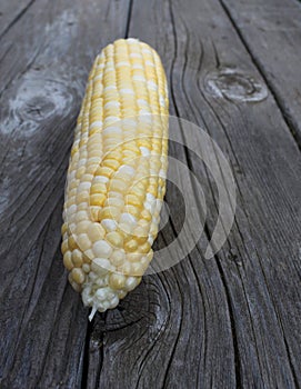 A cob of corn