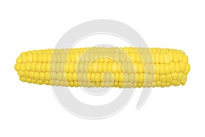 Cob of ripe sweet corn isolated on white background. Sweet boiled corn cob isolated on white background. Fresh yellow corn