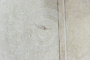 Cob web hanging between walls