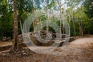 Coba is an archaeological area and a famous landmark of Yucatan Peninsula. Mexico. Yucatan