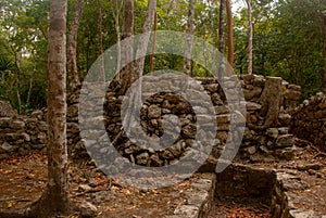 Coba is an archaeological area and a famous landmark of Yucatan Peninsula. Mexico. Yucatan