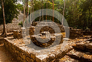 Coba is an archaeological area and a famous landmark of Yucatan Peninsula. Mexico. Yucatan