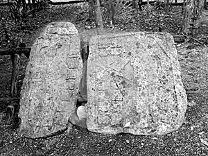 Coba Mayan Glyphs