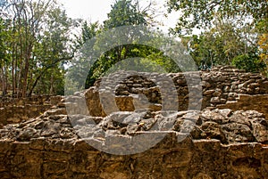 Coba, Mexico. Ancient mayan city in Mexico. Coba is an archaeological area and a famous landmark of Yucatan Peninsula. Forest arou