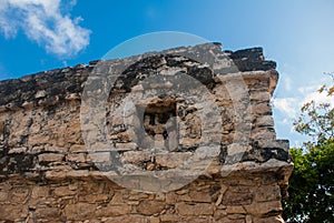 Coba, Mexico, Yucatan: Archaeological complex, ruins and pyramids in the ancient Mayan city