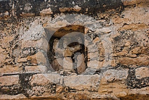 Coba, Mexico, Yucatan: Archaeological complex, ruins and pyramids in the ancient Mayan city