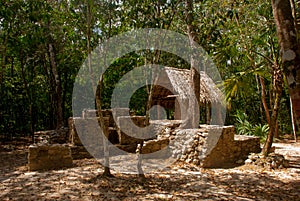 Coba, Mexico, Yucatan: Archaeological complex, ruins and pyramids in the ancient Mayan city