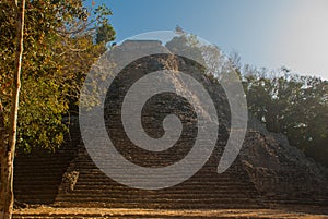 Coba, Mexico, Yucatan: Mayan Nohoch Mul pyramid in Coba. Upstairs are 120 narrow and steep steps.