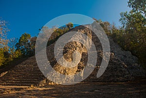 Coba, Mexico, Yucatan: Mayan Nohoch Mul pyramid in Coba. Upstairs are 120 narrow and steep steps.
