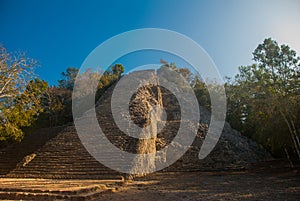 Coba, Mexico, Yucatan: Mayan Nohoch Mul pyramid in Coba. Upstairs are 120 narrow and steep steps.