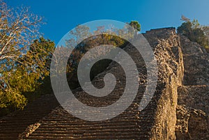 Coba, Mexico, Yucatan: Mayan Nohoch Mul pyramid in Coba. Upstairs are 120 narrow and steep steps.