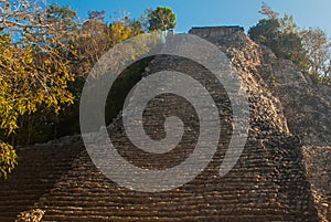 Coba, Mexico, Yucatan: Mayan Nohoch Mul pyramid in Coba. Upstairs are 120 narrow and steep steps.