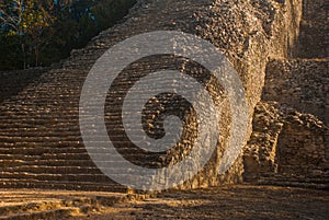 Coba, Mexico, Yucatan: Mayan Nohoch Mul pyramid in Coba. Upstairs are 120 narrow and steep steps.