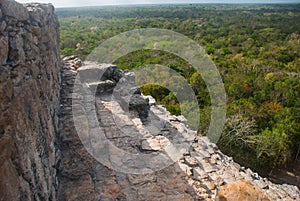 Coba, Mexico, Yucatan: Mayan Nohoch Mul pyramid in Coba. Upstairs are 120 narrow and steep steps.