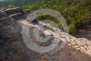 Coba, Mexico, Yucatan: Mayan Nohoch Mul pyramid in Coba. Upstairs are 120 narrow and steep steps.