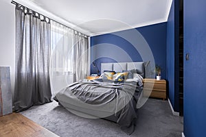 Cobalt blue bedroom with bed