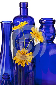 Cobalt blue bottles with flowers