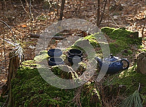 A Cobalt Blue Tea Set on a Moss Covered Tree Stump in the Forest