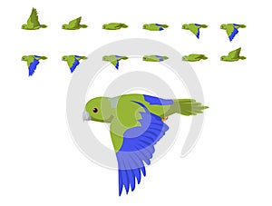 Cobalt-Rumped Parrotlet Forpus Parrot Flying Animation Sequence Cartoon Vector photo
