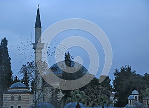 Coban Mustafa Pasha Mosque and Birds photo