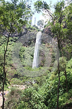 Coban Rondo, Wonderful Waterfall photo