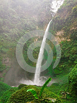 Coban waterfall