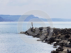 Cobb Harbour at Lyme Regis