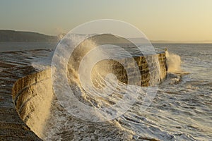 The Cobb in Lyme Regis at dawn photo
