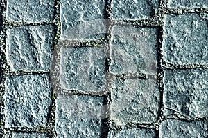 Cobble Path Detail.