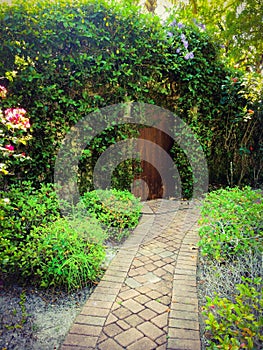 Cobble pathway to the secret gardens entrance of overhanging vines and a old rustic door photo