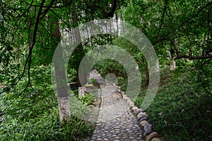 Cobble stone path in luxuriant summer woods photo